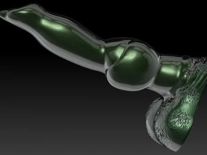 penis 3D Print Model