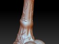 penis 3Dプリントモデル