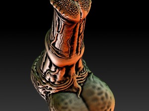 penis 3D 프린트 모델