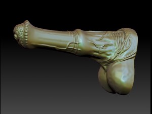 penis 3D 프린트 모델