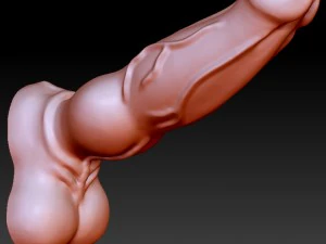 p&ecirc;nis 3d Modelo de Impressão 3D