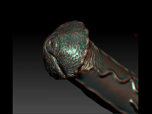 penis 3d mustang 3D Print Model