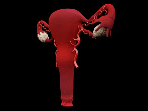 matka 3D Model