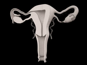 matka 3D Model