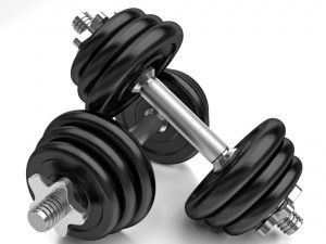 dumb bells 3D Model