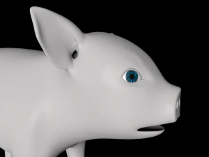 cute piglets 3D Model