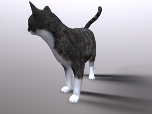 cat 3D Model