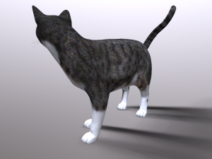 cat 3D Model