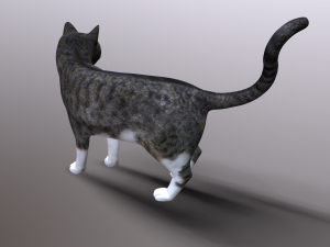 cat 3D Model