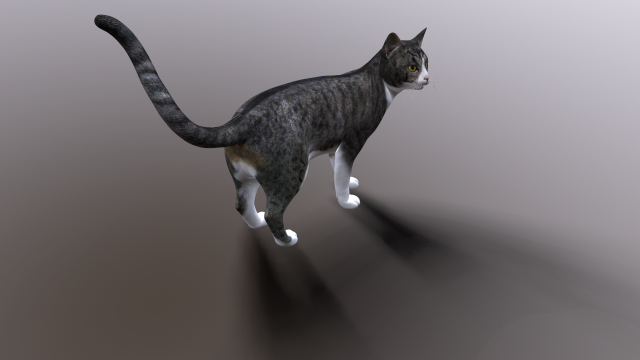 Download cat 3D Model