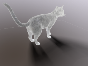 cat 3D Model
