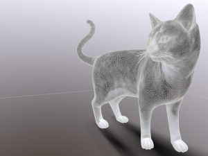 cat 3D Model