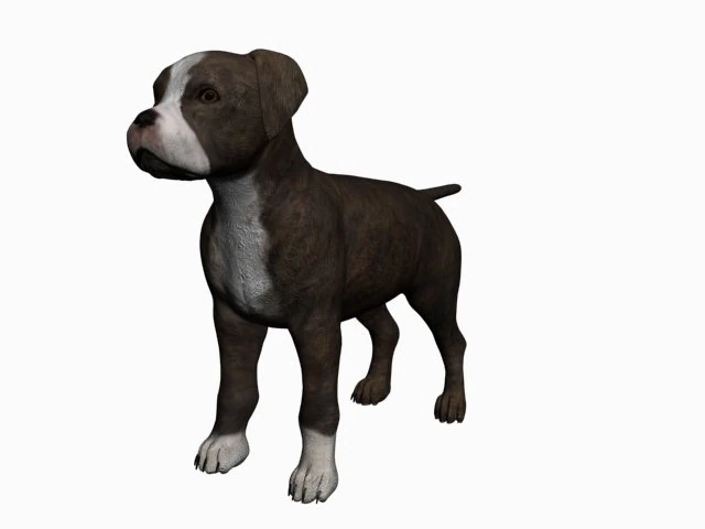 staffortshire 3D Model .c4d .max .obj .3ds .fbx .stl .blend 