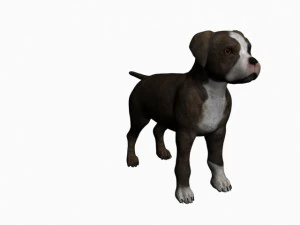 staffortshire 3D Model