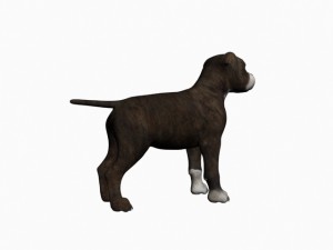 staffortshire 3D Model