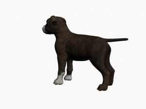 staffortshire 3D Model