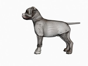 staffortshire 3D Model