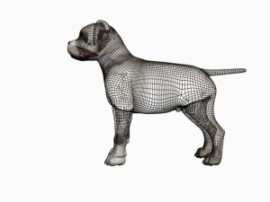 staffortshire 3D Model