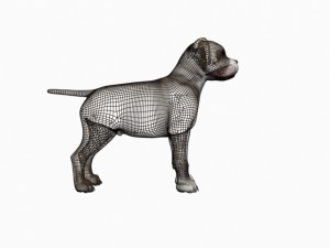 staffortshire 3D Model