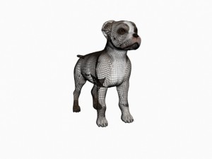 staffortshire 3D Model