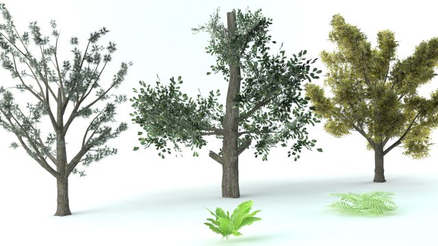 A set of vegetation Model 3D .c4d .max .obj .3ds .fbx .stl .blend 