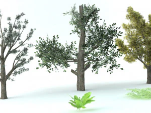 A set of vegetation 3D Model