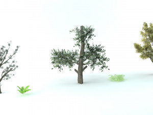 A set of vegetation Model 3D