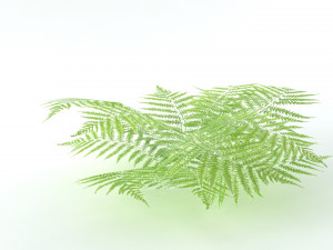A set of vegetation Model 3D