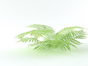 A set of vegetation Model 3D