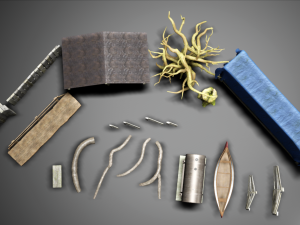 asset forest Modèle 3D