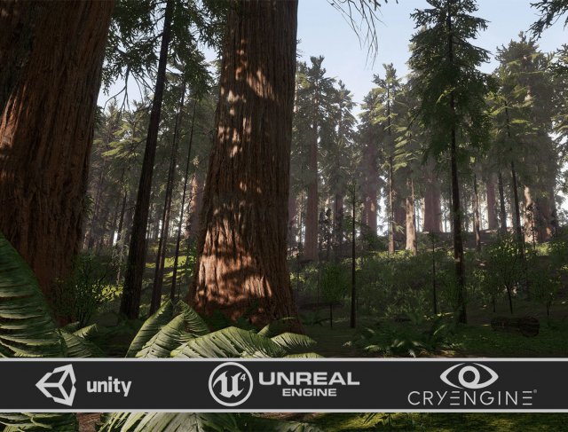 Redwood Forest 3D Model .c4d .max .obj .3ds .fbx .stl .blend 