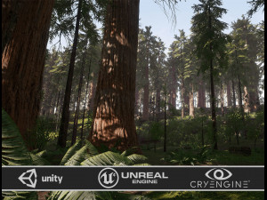 Redwood Forest 3D 모델