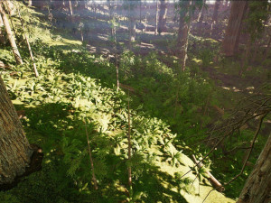 Redwood Forest 3D Model