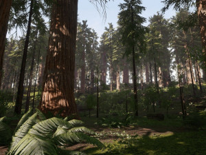 Redwood Forest 3D Model