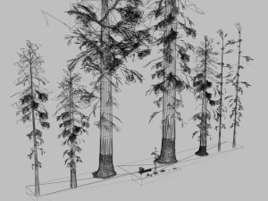 Redwood Forest 3D Model