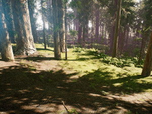 Redwood Forest 3D Model