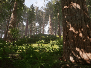 Redwood Forest 3D Model