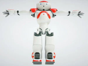 robot nao 3D Model