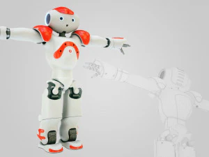 robot nao 3D Model