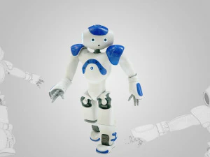 robot nao 3D Model