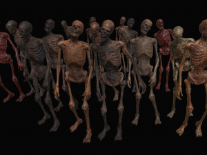 skeleton zombies low-poly 3D Model