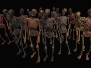 скелет зомби низкополигональная 3D Модель