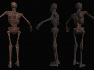 skeleton zombies low-poly Model 3D
