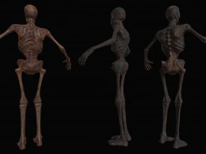 skeleton zombies low-poly 3D Model
