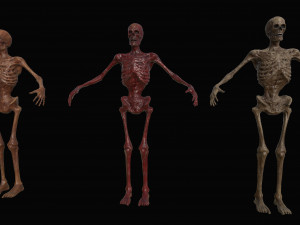 skeleton zombies low-poly Model 3D