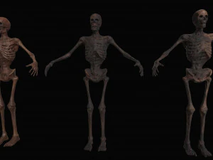 skeleton zombies low-poly 3D Model