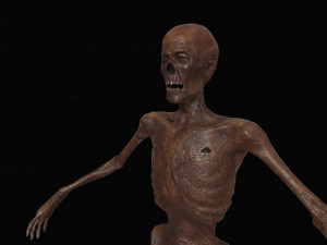 skeleton zombies low-poly Model 3D