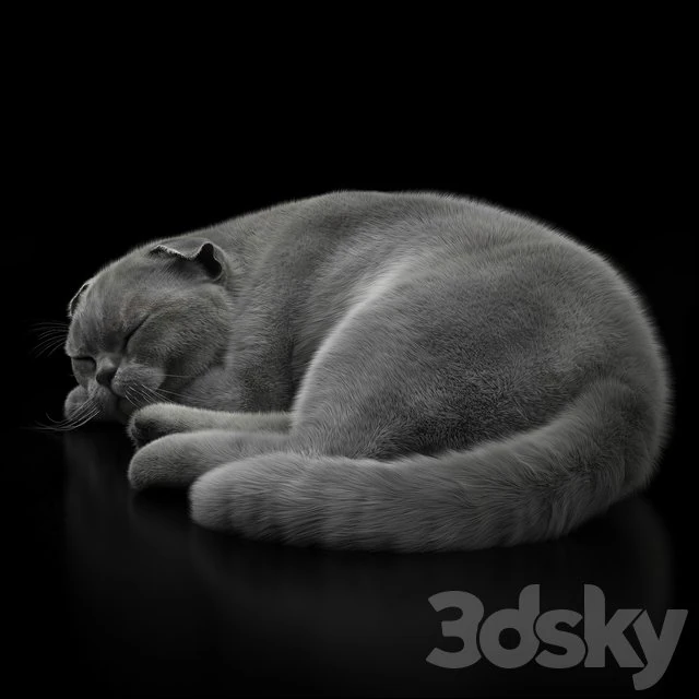 cat 6 3D Model .c4d .max .obj .3ds .fbx .stl .blend 