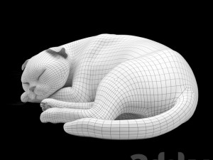 cat 6 Modèle 3D
