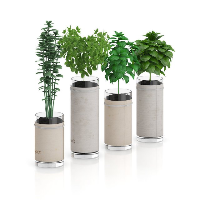 four herbs in glass pots Modèle 3D .c4d .max .obj .3ds .fbx .stl .blend 